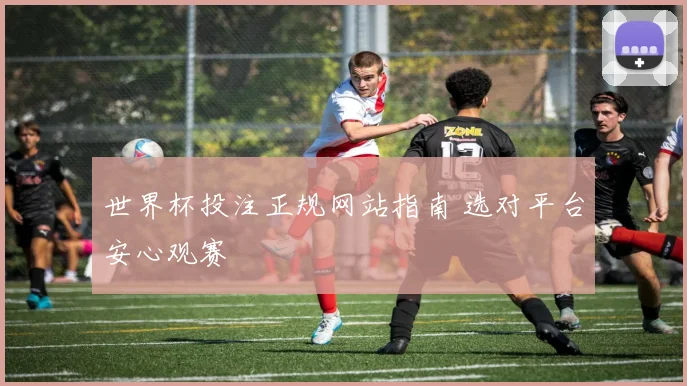 世界杯投注正规网站指南 选对平台安心观赛
