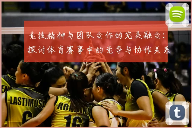 竞技精神与团队合作的完美融合：探讨体育赛事中的竞争与协作关系