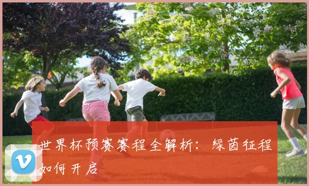 世界杯预赛赛程全解析:绿茵征程如何开启