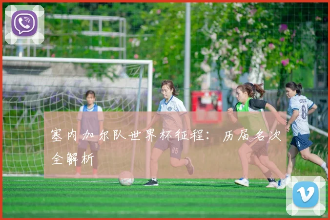 塞内加尔队世界杯征程:历届名次全解析