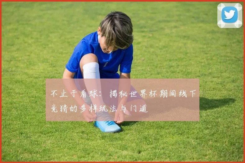 不止于看球:揭秘世界杯期间线下竞猜的多样玩法与门道