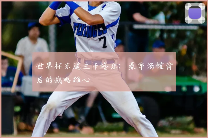 世界杯东道主卡塔尔:豪华场馆背后的战略雄心