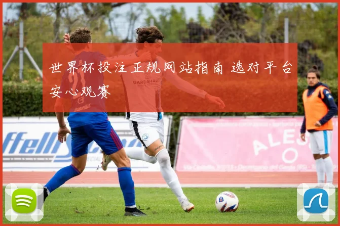 世界杯投注正规网站指南 选对平台安心观赛