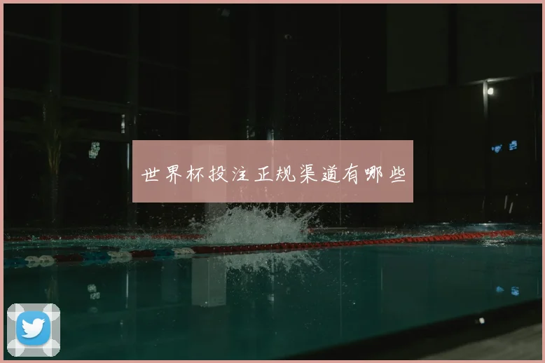 世界杯投注正规渠道有哪些