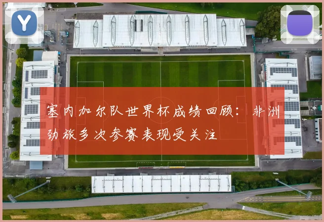 塞内加尔队世界杯成绩回顾:非洲劲旅多次参赛表现受关注